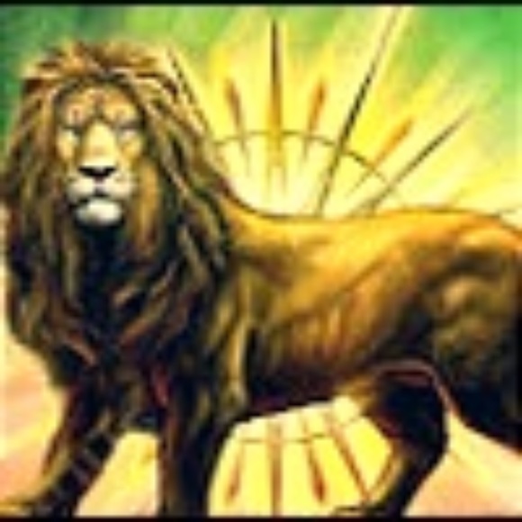 Meet your Posher, Amir - Picture 1 of 1